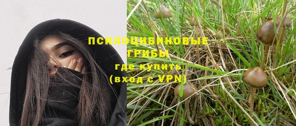 тгк Алзамай
