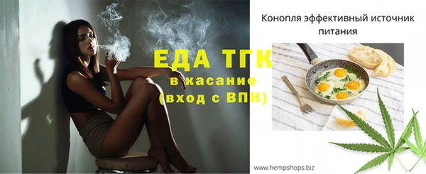 тгк Алзамай