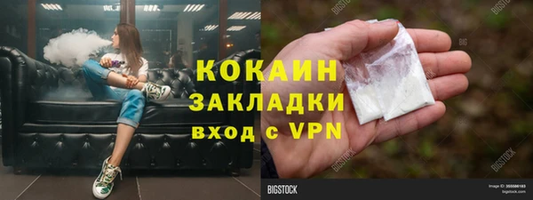 тгк Алзамай