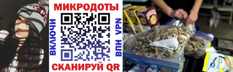 kraken онион  Красногорск  Псилоцибиновые грибы MAGIC MUSHROOMS 