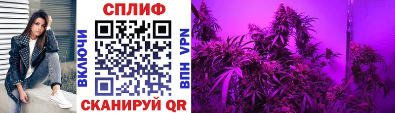 маркетплейс Telegram  Красногорск  Конопля VHQ  где купить наркоту 